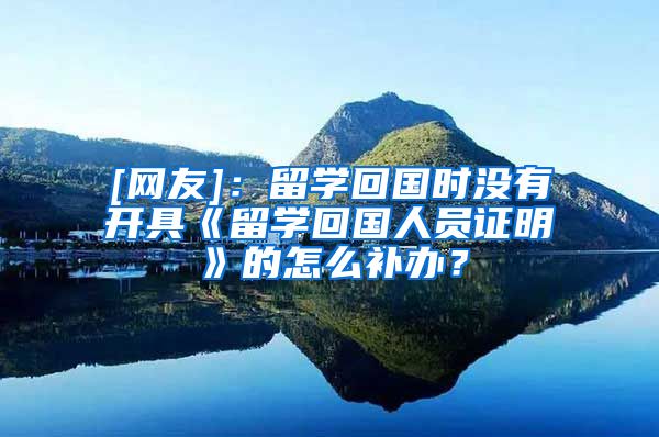 [网友]：留学回国时没有开具《留学回国人员证明》的怎么补办？