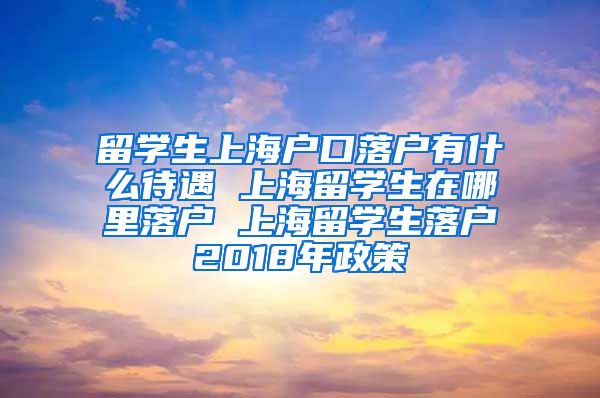 留学生上海户口落户有什么待遇 上海留学生在哪里落户 上海留学生落户2018年政策