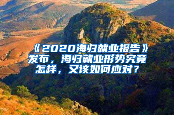 《2020海归就业报告》发布，海归就业形势究竟怎样，又该如何应对？