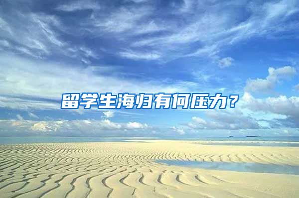 留学生海归有何压力？