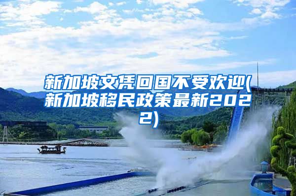 新加坡文凭回国不受欢迎(新加坡移民政策最新2022)