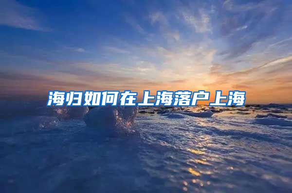 海归如何在上海落户上海