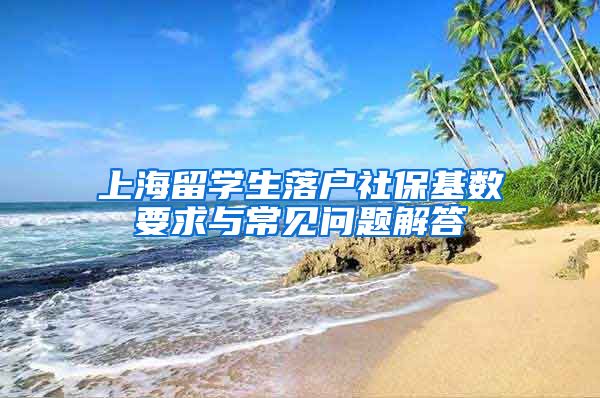 上海留学生落户社保基数要求与常见问题解答