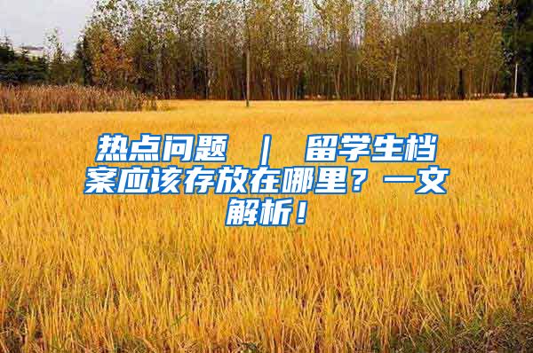 热点问题 ｜ 留学生档案应该存放在哪里？一文解析！