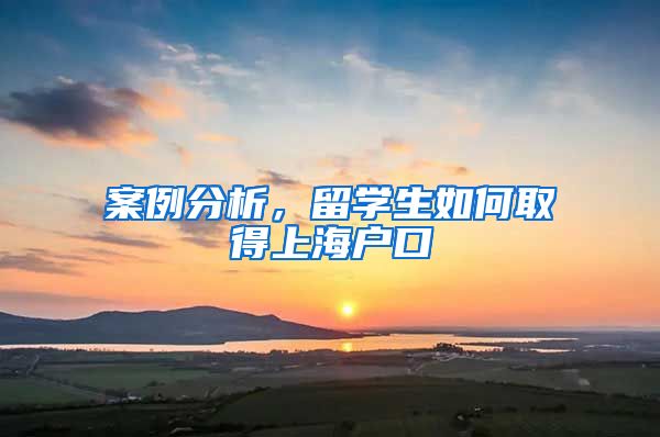 案例分析，留学生如何取得上海户口