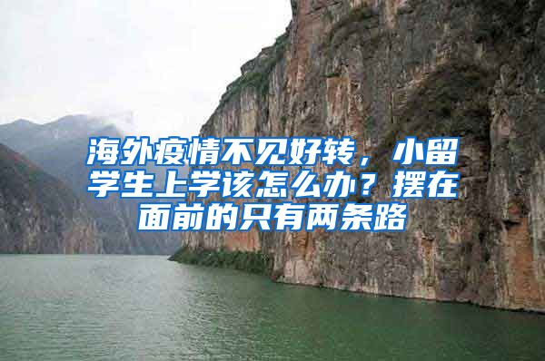 海外疫情不见好转，小留学生上学该怎么办？摆在面前的只有两条路