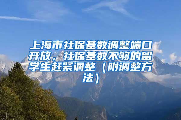 上海市社保基数调整端口开放，社保基数不够的留学生赶紧调整（附调整方法）