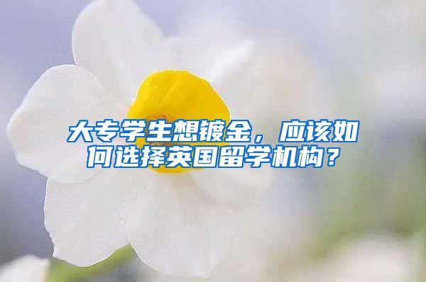 大专学生想镀金，应该如何选择英国留学机构？