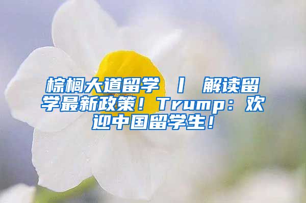 棕榈大道留学 丨 解读留学最新政策！Trump：欢迎中国留学生！