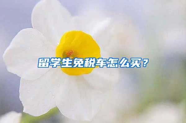 留学生免税车怎么买？