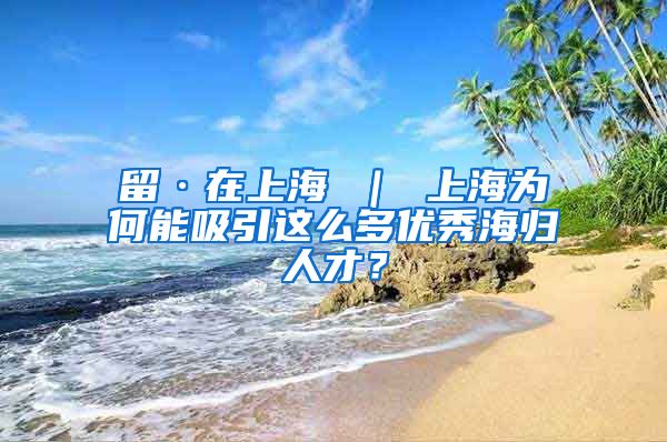 留·在上海 ｜ 上海为何能吸引这么多优秀海归人才？