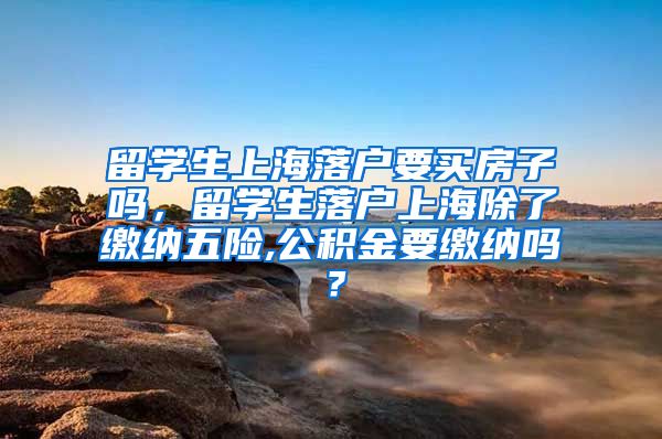 留学生上海落户要买房子吗，留学生落户上海除了缴纳五险,公积金要缴纳吗？