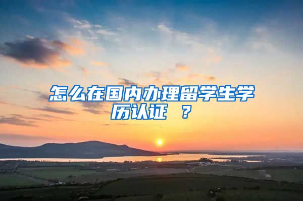 怎么在国内办理留学生学历认证 ？