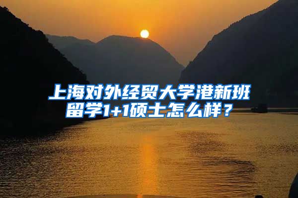 上海对外经贸大学港新班留学1+1硕士怎么样？