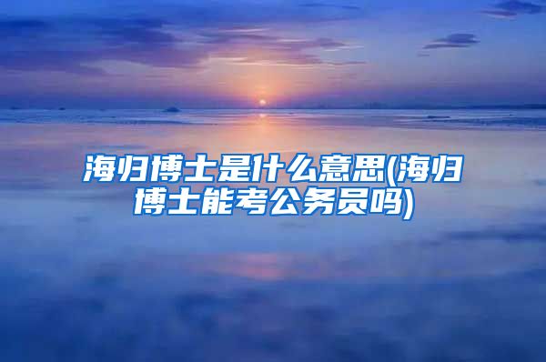 海归博士是什么意思(海归博士能考公务员吗)