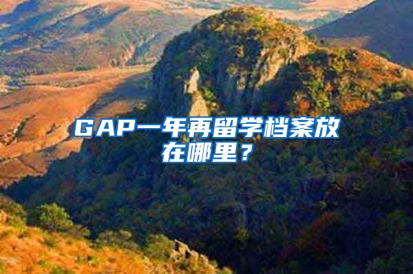 GAP一年再留学档案放在哪里？