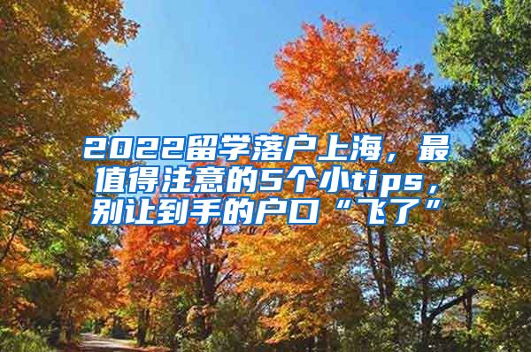 2022留学落户上海，最值得注意的5个小tips，别让到手的户口“飞了”