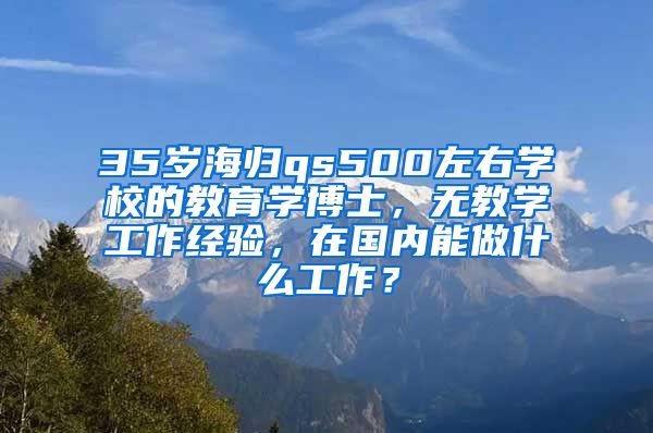 35岁海归qs500左右学校的教育学博士，无教学工作经验，在国内能做什么工作？