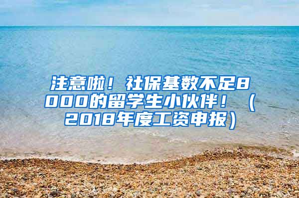 注意啦！社保基数不足8000的留学生小伙伴！（2018年度工资申报）