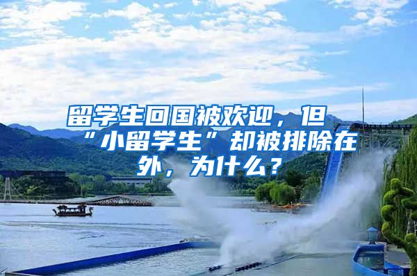 留学生回国被欢迎，但“小留学生”却被排除在外，为什么？