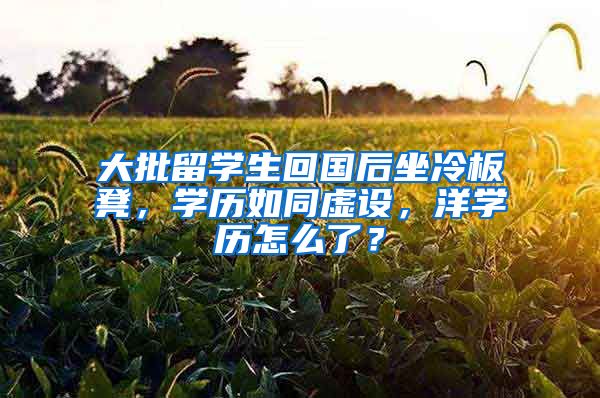 大批留学生回国后坐冷板凳，学历如同虚设，洋学历怎么了？