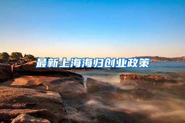 最新上海海归创业政策