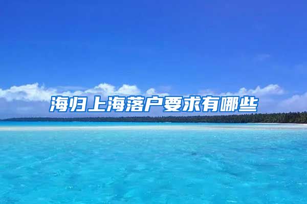 海归上海落户要求有哪些