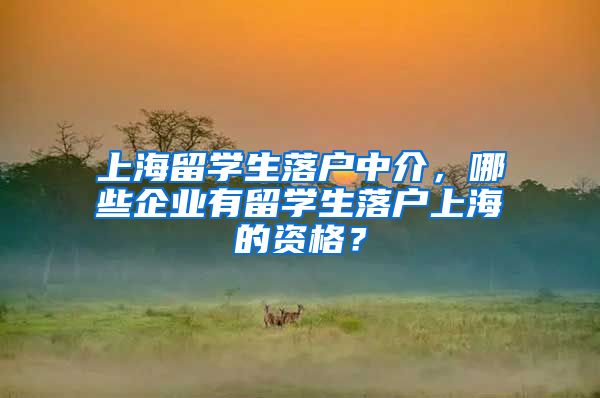 上海留学生落户中介，哪些企业有留学生落户上海的资格？