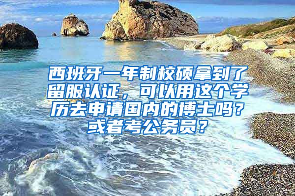 西班牙一年制校硕拿到了留服认证，可以用这个学历去申请国内的博士吗？或者考公务员？