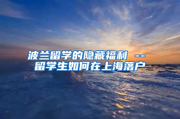 波兰留学的隐藏福利 -- 留学生如何在上海落户