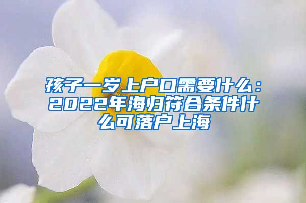 孩子一岁上户口需要什么：2022年海归符合条件什么可落户上海