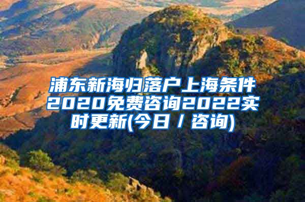 浦东新海归落户上海条件2020免费咨询2022实时更新(今日／咨询)