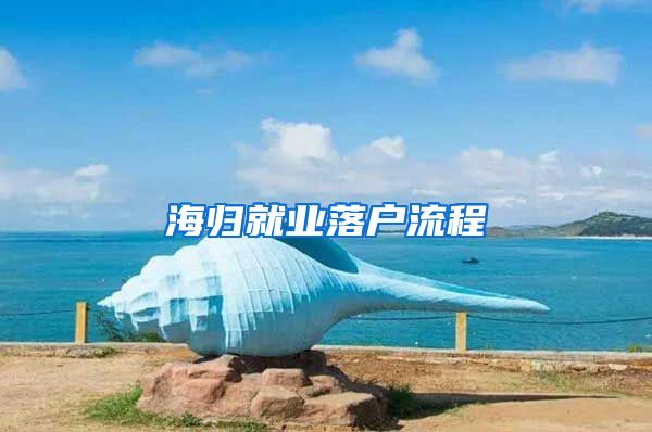 海归就业落户流程