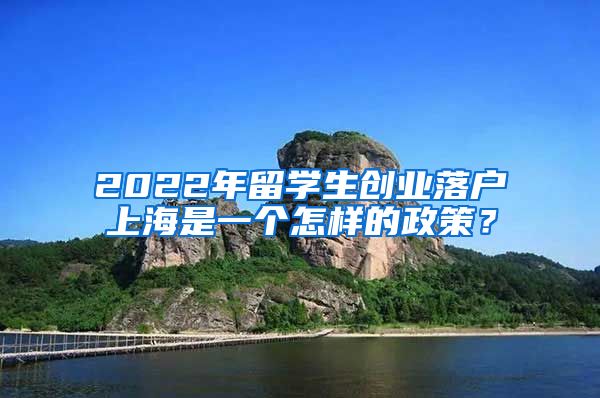 2022年留学生创业落户上海是一个怎样的政策？