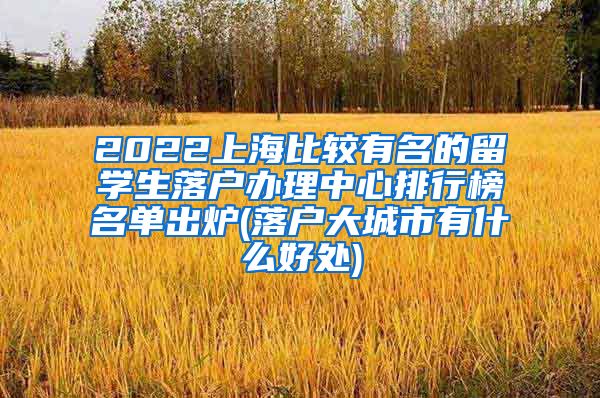 2022上海比较有名的留学生落户办理中心排行榜名单出炉(落户大城市有什么好处)