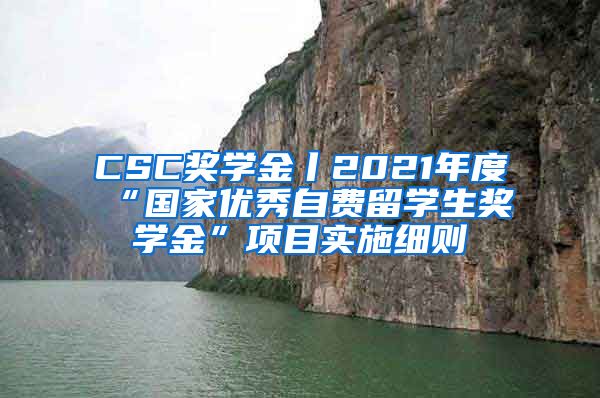 CSC奖学金丨2021年度“国家优秀自费留学生奖学金”项目实施细则