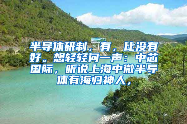 半导体研制，有，比没有好。想轻轻问一声：中芯国际，听说上海中微半导体有海归神人，