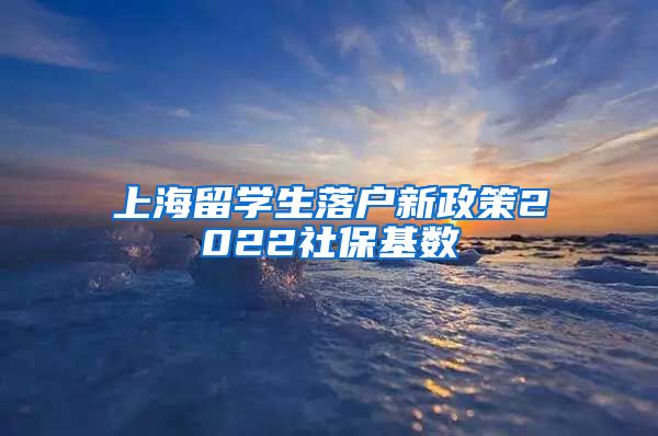 上海留学生落户新政策2022社保基数