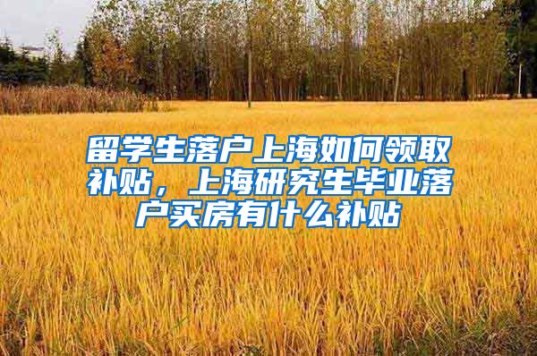 留学生落户上海如何领取补贴，上海研究生毕业落户买房有什么补贴