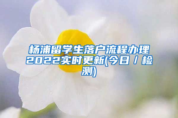 杨浦留学生落户流程办理2022实时更新(今日／检测)