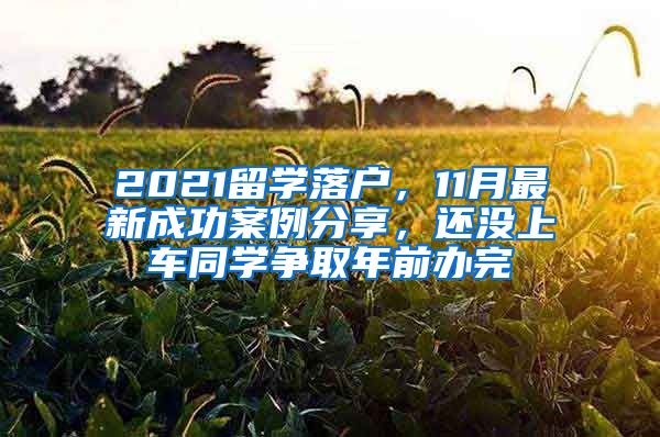 2021留学落户，11月最新成功案例分享，还没上车同学争取年前办完