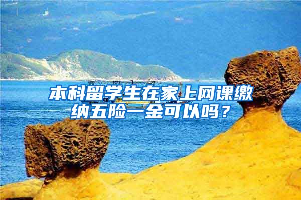 本科留学生在家上网课缴纳五险一金可以吗？