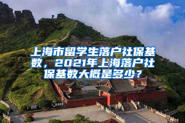 上海市留学生落户社保基数，2021年上海落户社保基数大概是多少？