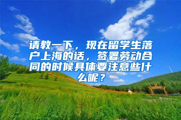 请教一下，现在留学生落户上海的话，签署劳动合同的时候具体要注意些什么呢？