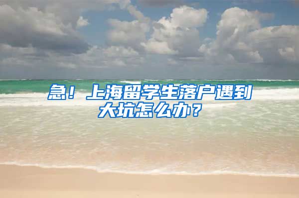 急！上海留学生落户遇到大坑怎么办？