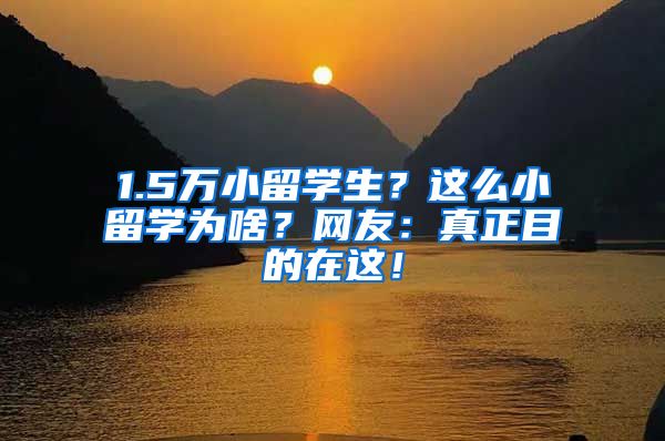 1.5万小留学生？这么小留学为啥？网友：真正目的在这！