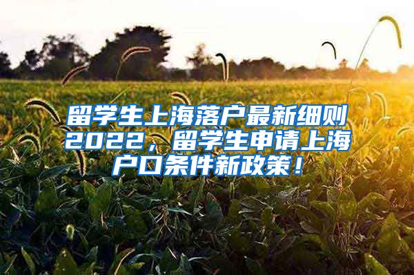 留学生上海落户最新细则2022，留学生申请上海户口条件新政策！