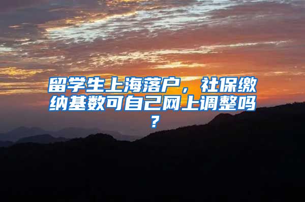 留学生上海落户，社保缴纳基数可自己网上调整吗？