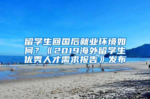 留学生回国后就业环境如何？《2019海外留学生优秀人才需求报告》发布