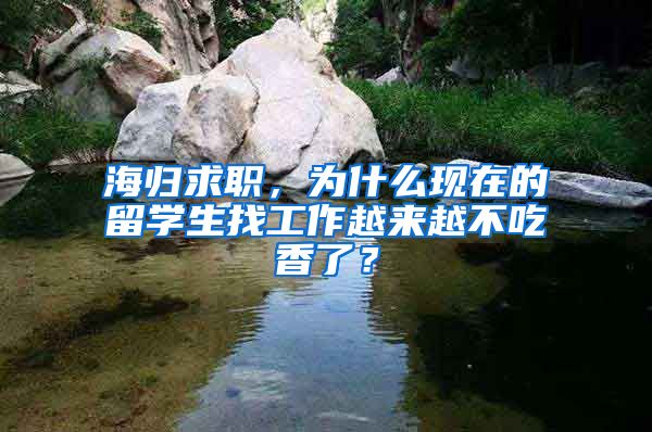 海归求职，为什么现在的留学生找工作越来越不吃香了？